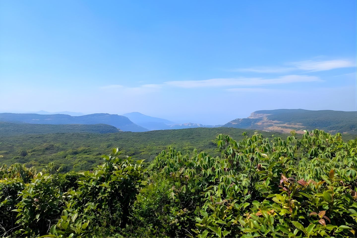 Connaught Peak Mahabaleshwar