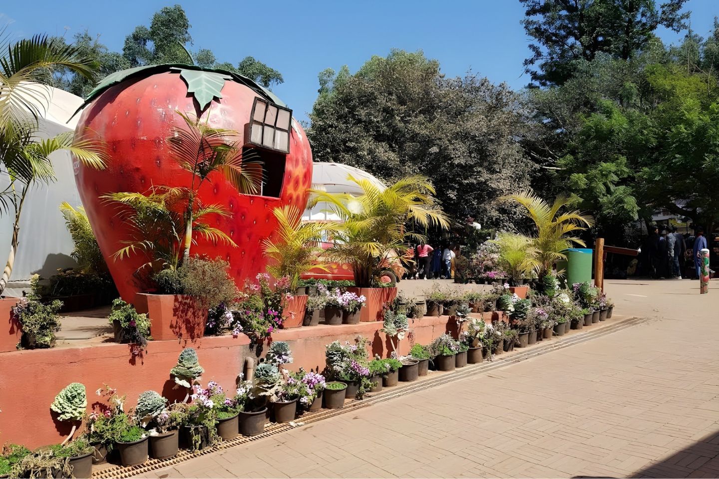 Mapro Garden Mahabaleshwar